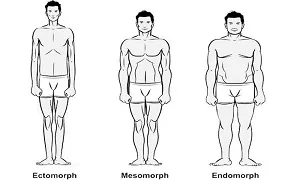 3 mẹo tăng cân cho tạng người Ectomorph