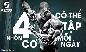 4 nhóm cơ và bài tập có thể tập mỗi ngày