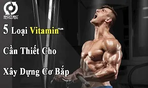 5 loại Vitamin cần thiết cho xây dựng cơ bắp