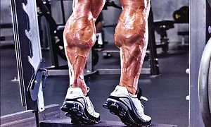 5 lý do khiến bắp chân của bạn không thể to