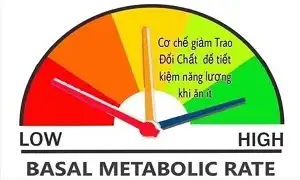Ăn ít và hít khí trời vẫn béo là do bạn chưa nắm rõ kiến thức giảm béo
