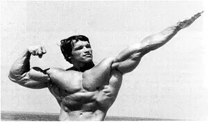 Bách khoa toàn thư về gym thể hình dành cho người tập hay không tập tạ