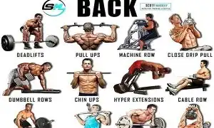 Bài tập lưng nào tốt nhất