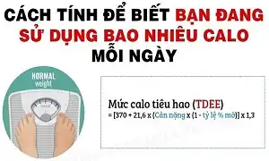 Bạn có biết 1 ngày mình đang dùng bao nhiêu Calo không