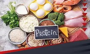 Bạn có thực sự hiểu vai trò của Protein trong tập luyện gym thể hình