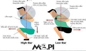 Bạn phù hợp với form High Bar Squat hay Low Bar Squat