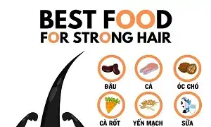 Các loại thức ăn giúp bạn có mái tóc khỏe mạnh