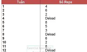 Các quy tắc áp dụng lên chương trình tập