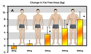 Các thực phẩm tăng cường sản sinh Testosterone