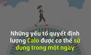 Các yếu tố tạo nên nhu cầu Calo riêng biệt của mỗi người