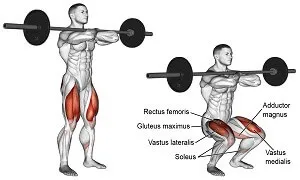 Cách thức tập squat khi bạn bị đau vai mà bạn nên biết để hạn chế chấn thương