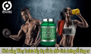 Cách uống Whey Isolate hấp thụ tối đa chất dinh dưỡng để tăng cơ