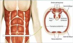 Cải thiện cơ trung tâm phòng tránh chấn thương lưng dưới