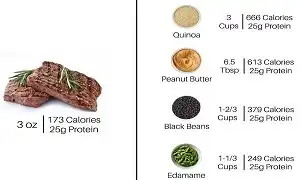 Chất lượng Protein ở thực vật khác so với ở động vật