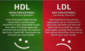 Cholesterol cần thiết cho cơ thể bạn