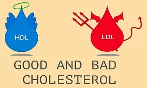 Cholesterol xấu hay tốt là do bạn giữ mức Cholesterol thế nào