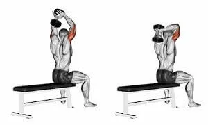 Chọn bài tập Duỗi tay sau qua đầu để tránh bị đau cùi trỏ, cổ tay