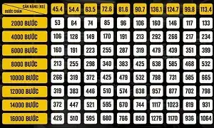 Chúng ta có thực sự cần đi đủ 10.000 bước mỗi ngày để khỏe mạnh