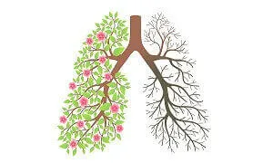 Cơ chế hô hấp của cơ thể và ảnh hưỡng của nó lên sức khỏe