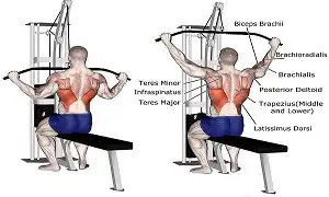 Độ rộng tay trong bài kéo xô