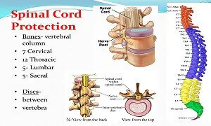 Giữ vị trí tự nhiên của cột sống để tránh tổn thương lưng khi tập luyện gym thể hình
