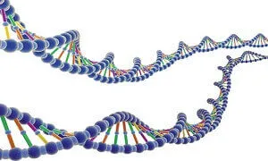 Khả năng khác nhau do gen di truyền ảnh hưỡng đến mức độ luyện tập