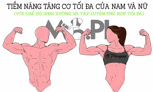 Khả năng tăng cơ tối đa của bạn tới đâu