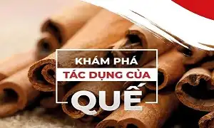 Khám phá tác dụng của quế tới dinh dưỡng và tập luyện