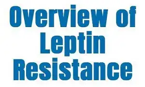 Kháng Leptin và béo phì