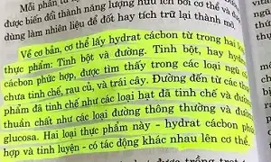 Không nên cắt hoàn toàn Carbs để giảm cân