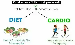 Kiểm soát chế độ ăn nếu bạn muốn giảm cân giảm mỡ