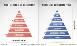 Kim tự tháp dinh dưỡng - Nền tảng của tăng giảm cân
