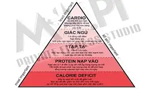 Kim tự tháp vàng cho giảm mỡ