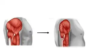 Làm sao để duy trì cơ bắp khi phải ngừng tập gym vì chống dịch COVID19