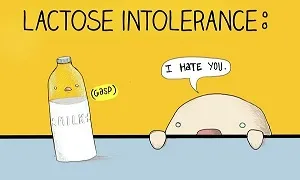 Làm sao để tăng cân khi cơ thể không dung nạp lactose
