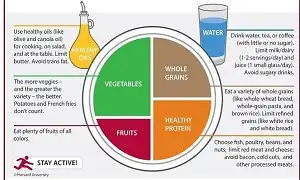 Lành mạnh với chế độ ăn MyPlate