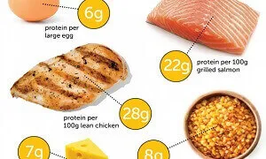 Lượng Protein trong chế độ ăn bao nhiêu là hợp lí thay vì ăn quá lệch