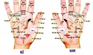 Massage lòng bàn tay và chân cải thiện sức khỏe