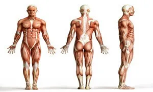 Mất linh hoạt do mất cân bằng cơ là nguyên nhân hay gặp nhất