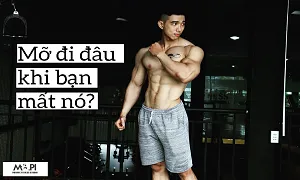 Mỡ sẽ thành gì khi ta mất nó