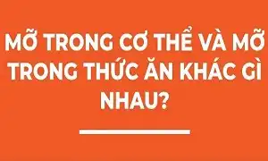 Mỡ trong thức ăn và mỡ trong cơ thể khác gì nhau
