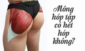 Mông hóp tập sẽ không bao giờ hết hóp nhưng tập nhiều thì mông sẽ to đẹp hơn