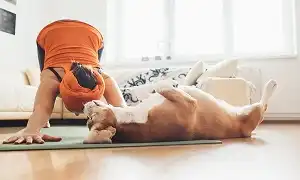 Muốn tập ở nhà nhưng lại lười