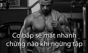 Nghĩ tập bao lâu thì mất cơ bắp là câu hỏi rất đáng sợ