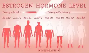 Estrogen - Nguyên nhân tích mỡ thân dưới ở nữ và giải pháp cải thiện