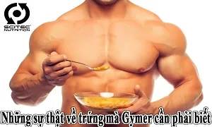 Những sự thật về trứng mà Gymer cần phải biết