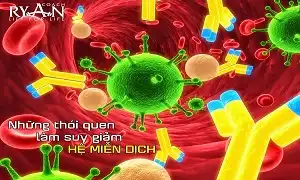 Những thói quen làm suy giảm hệ miễn dịch