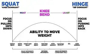 Phân biệt giữa Squat Pattern và Hip Hinge Pattern