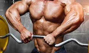 Phân loại các bài tập dựa trên cơ chế tăng cơ
