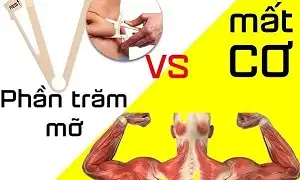 Phần trăm mỡ và việc mất cơ bắp